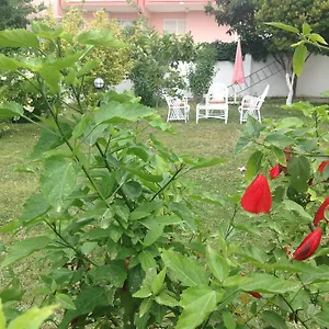 Ayda Otel